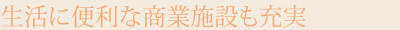 生活に便利な商業施設も充実